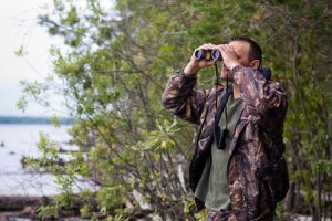 Essentials For Your Moose Hunting Trip 