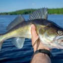 Benefits of Fishing the Ogoki River & Reservoir