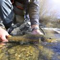 3 Tips for Catch & Release Fishing